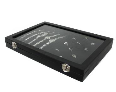 "2 in 1" Schmuckkasten Schmucklade Schaukasten Schmuckdisplay mit Glasdeckel für Ketten Ringe Uhren schwarz